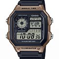 Часы Casio Collection AE-1200WH-5A